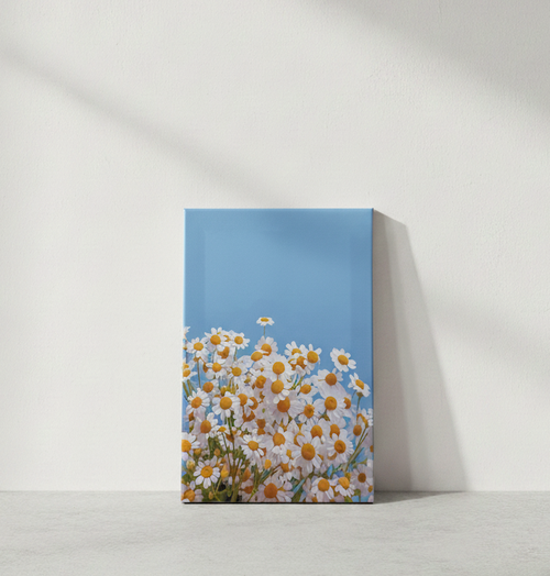 Sunny Daisy Field - Canvas Art Print